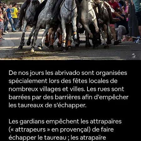Les Olivettes *