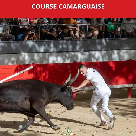 Дом отдыха Les Olivettes